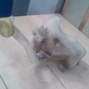 Ingyenes szállítás NISSAN VANETTE CARGO Kiegyenlítő tartály 2.3d bontott alkatrész